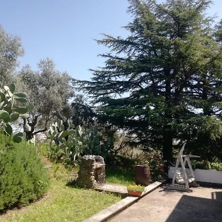 La Campagna Di Rosy Apartment Genzano di Roma Bagian luar foto
