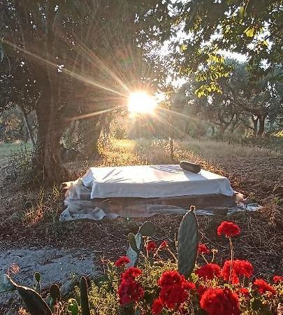 La Campagna Di Rosy Apartment Genzano di Roma Bagian luar foto