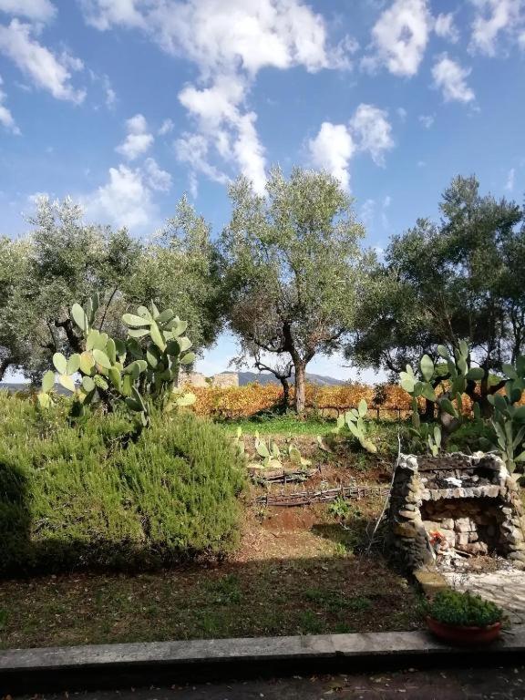 La Campagna Di Rosy Apartment Genzano di Roma Bagian luar foto
