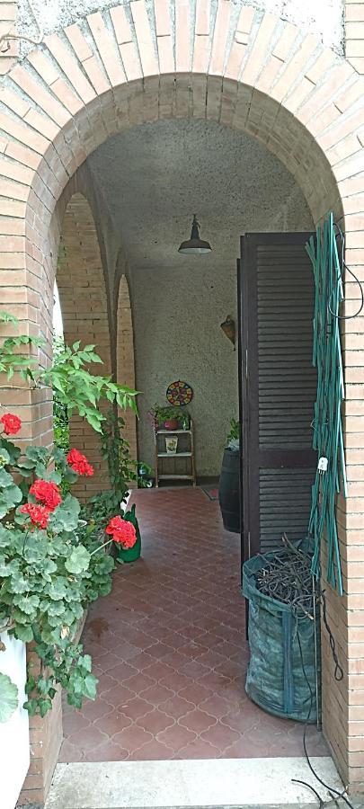 La Campagna Di Rosy Apartment Genzano di Roma Bagian luar foto