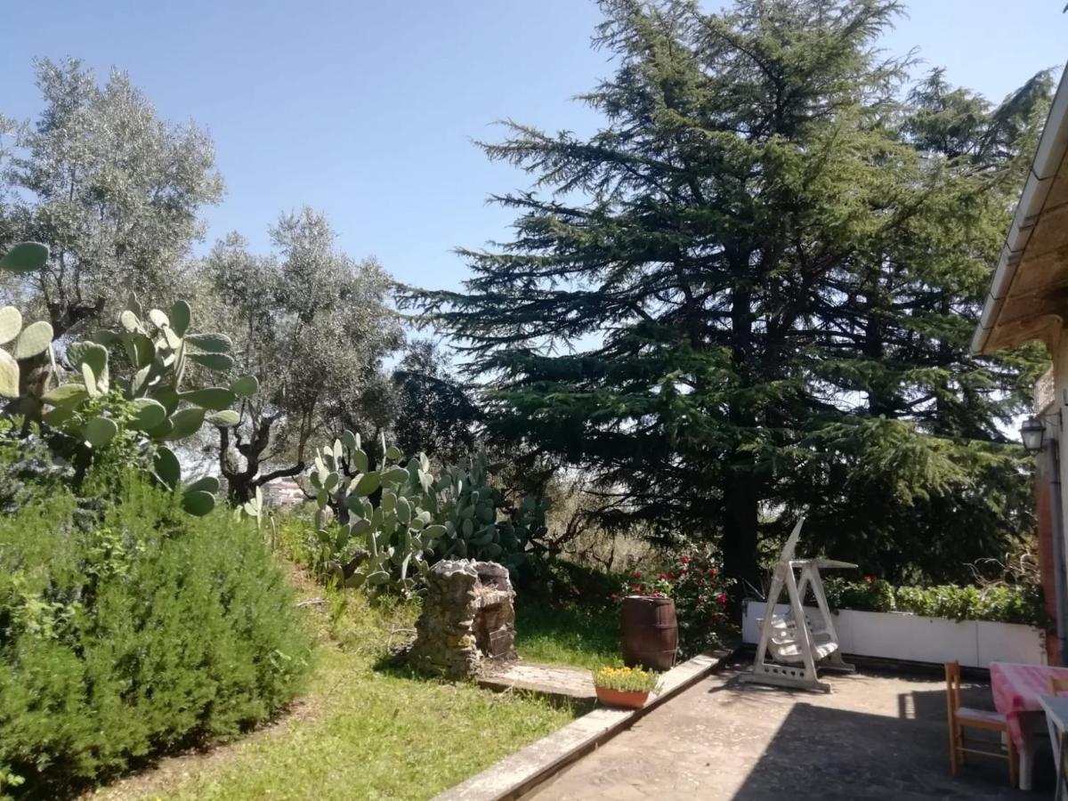 La Campagna Di Rosy Apartment Genzano di Roma Bagian luar foto