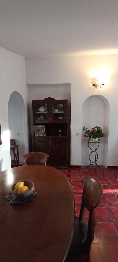 La Campagna Di Rosy Apartment Genzano di Roma Bagian luar foto