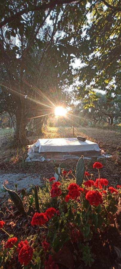 La Campagna Di Rosy Apartment Genzano di Roma Bagian luar foto