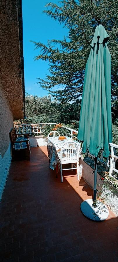 La Campagna Di Rosy Apartment Genzano di Roma Bagian luar foto