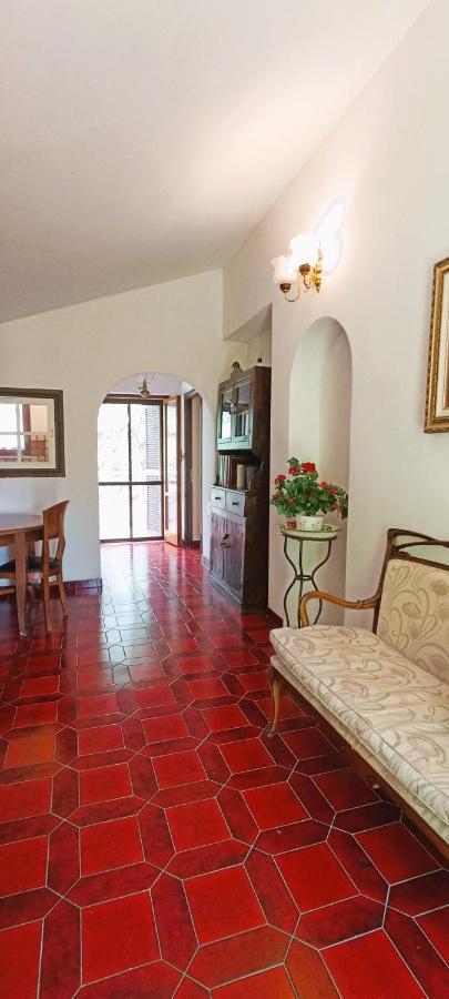 La Campagna Di Rosy Apartment Genzano di Roma Bagian luar foto